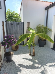 Mbmo Construction Maison IMG E5423