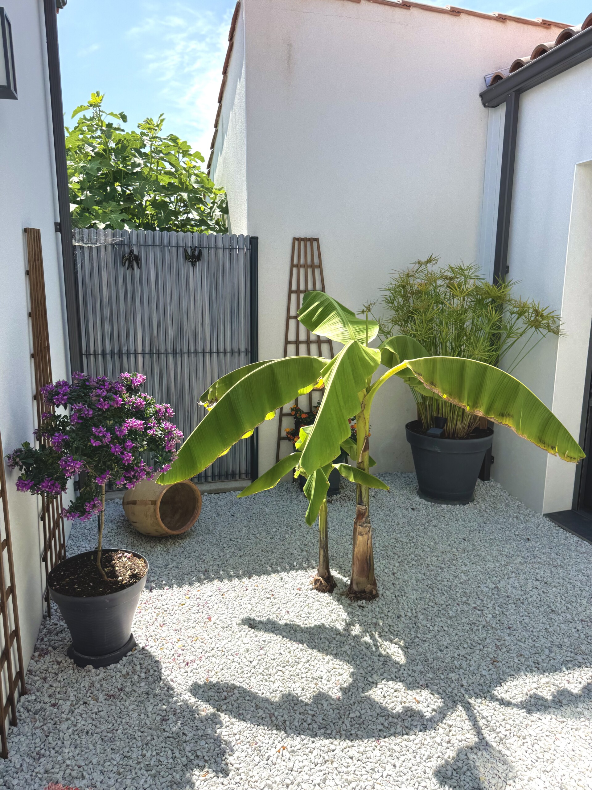 Mbmo Construction Maison IMG E5423